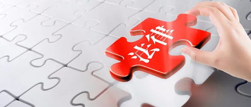 金稅四期時代 企業(yè)資產(chǎn)管理的合規(guī)挑戰(zhàn)與應(yīng)對策略