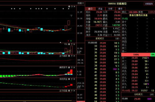 絲路視覺（300556） 主力悄然布局，計算機軟硬件業(yè)務(wù)驅(qū)動下未來走勢深度解析